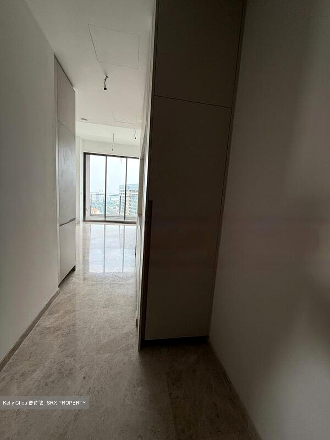 The Avenir (D9), Condominium #479885791